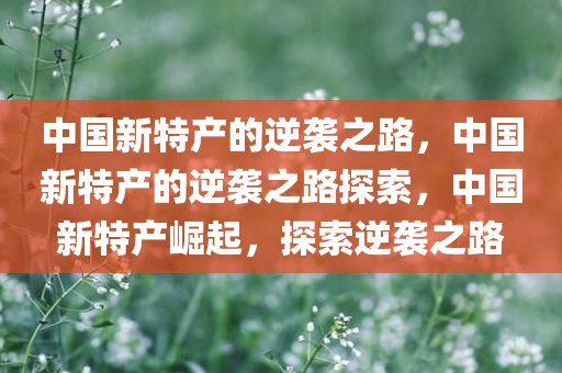 中国新特产的逆袭之路，中国新特产的逆袭之路探索，中国新特产崛起，探索逆袭之路