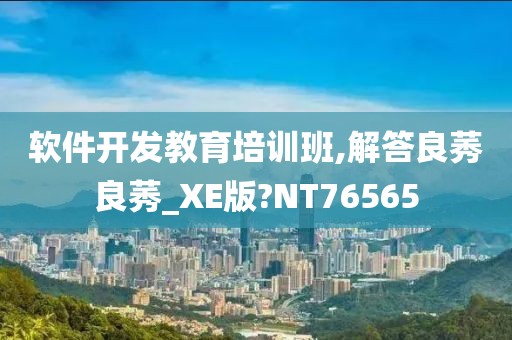 软件开发教育培训班,解答良莠良莠_XE版?NT76565