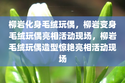 柳岩化身毛绒玩偶，柳岩变身毛绒玩偶亮相活动现场，柳岩毛绒玩偶造型惊艳亮相活动现场