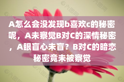 A怎么会没发现b喜欢c的秘密呢，A未察觉B对C的深情秘密，A眼盲心未盲？B对C的暗恋秘密竟未被察觉