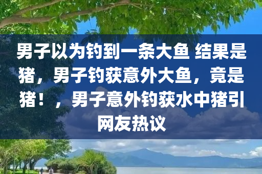 男子以为钓到一条大鱼 结果是猪，男子钓获意外大鱼，竟是猪！，男子意外钓获水中猪引网友热议