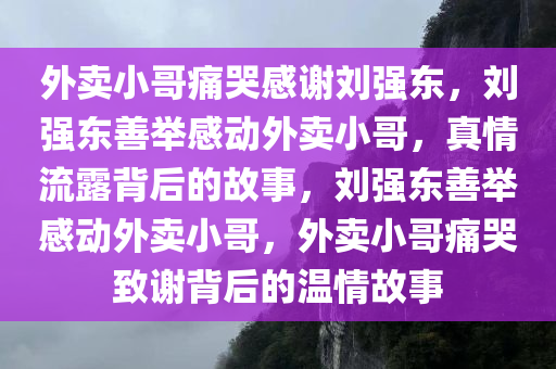 外卖小哥痛哭感谢刘强东，刘强东善举感动外卖小哥，真情流露背后的故事，刘强东善举感动外卖小哥，外卖小哥痛哭致谢背后的温情故事