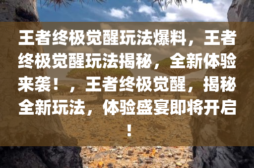 王者终极觉醒玩法爆料，王者终极觉醒玩法揭秘，全新体验来袭！，王者终极觉醒，揭秘全新玩法，体验盛宴即将开启！