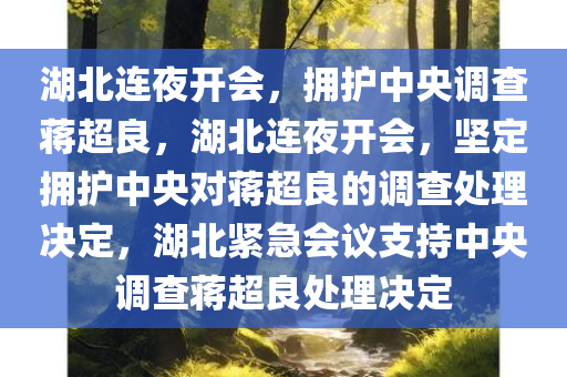 湖北连夜开会，拥护中央调查蒋超良，湖北连夜开会，坚定拥护中央对蒋超良的调查处理决定，湖北紧急会议支持中央调查蒋超良处理决定