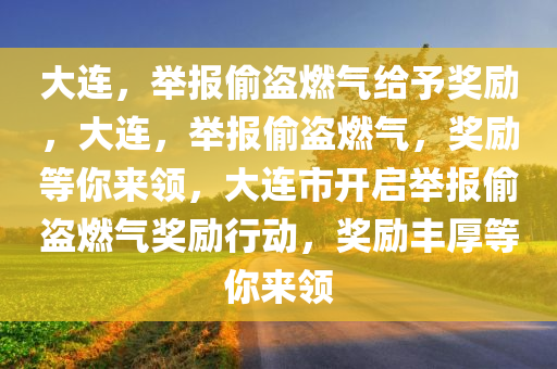 大连，举报偷盗燃气给予奖励，大连，举报偷盗燃气，奖励等你来领，大连市开启举报偷盗燃气奖励行动，奖励丰厚等你来领