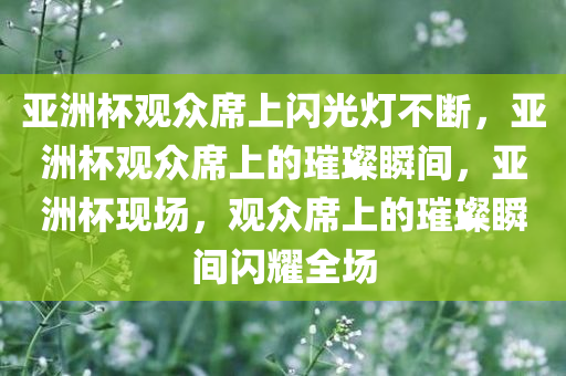 亚洲杯观众席上闪光灯不断，亚洲杯观众席上的璀璨瞬间，亚洲杯现场，观众席上的璀璨瞬间闪耀全场