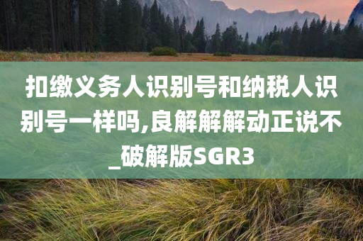 扣缴义务人识别号和纳税人识别号一样吗,良解解解动正说不_破解版SGR3