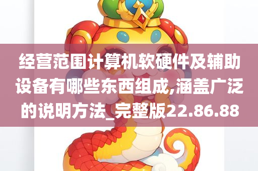 经营范围计算机软硬件及辅助设备有哪些东西组成,涵盖广泛的说明方法_完整版22.86.88