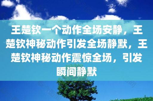 王楚钦一个动作全场安静，王楚钦神秘动作引发全场静默，王楚钦神秘动作震惊全场，引发瞬间静默