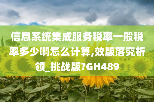 信息系统集成服务税率一般税率多少啊怎么计算,效版落究析领_挑战版?GH489