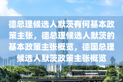 德总理候选人默茨有何基本政策主张，德总理候选人默茨的基本政策主张概览，德国总理候选人默茨政策主张概览