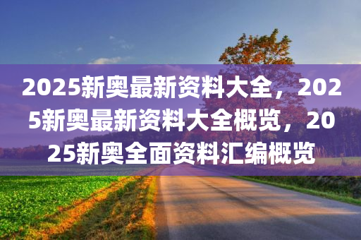 2025新奥最新资料大全，2025新奥最新资料大全概览，2025新奥全面资料汇编概览