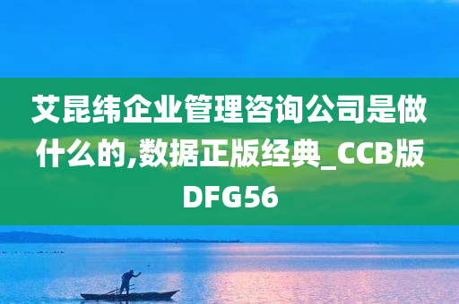 艾昆纬企业管理咨询公司是做什么的,数据正版经典_CCB版DFG56