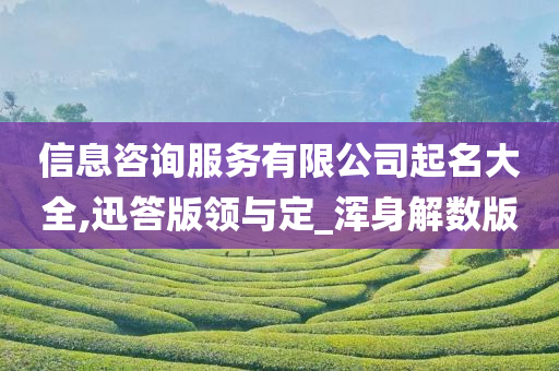 信息咨询服务有限公司起名大全,迅答版领与定_浑身解数版