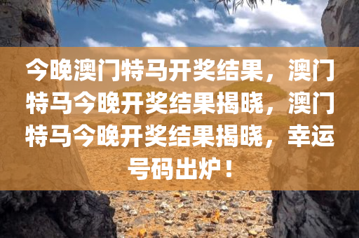 今晚澳门特马开奖结果，澳门特马今晚开奖结果揭晓，澳门特马今晚开奖结果揭晓，幸运号码出炉！