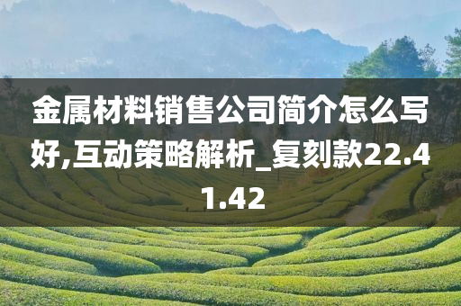 金属材料销售公司简介怎么写好,互动策略解析_复刻款22.41.42