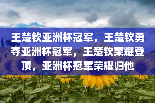 王楚钦亚洲杯冠军，王楚钦勇夺亚洲杯冠军，王楚钦荣耀登顶，亚洲杯冠军荣耀归他