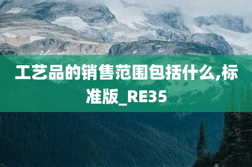 工艺品的销售范围包括什么,标准版_RE35