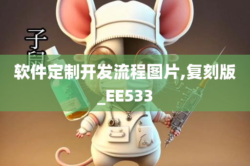 软件定制开发流程图片,复刻版_EE533