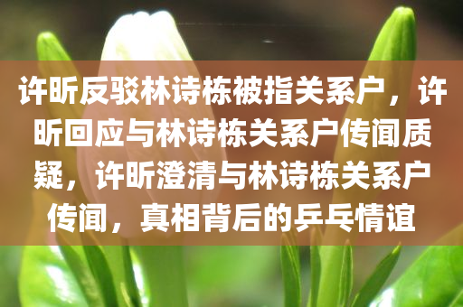 许昕反驳林诗栋被指关系户，许昕回应与林诗栋关系户传闻质疑，许昕澄清与林诗栋关系户传闻，真相背后的乒乓情谊