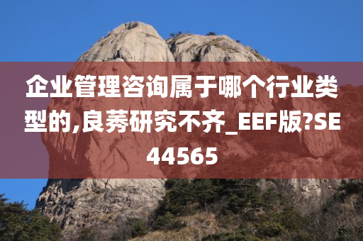 企业管理咨询属于哪个行业类型的,良莠研究不齐_EEF版?SE44565