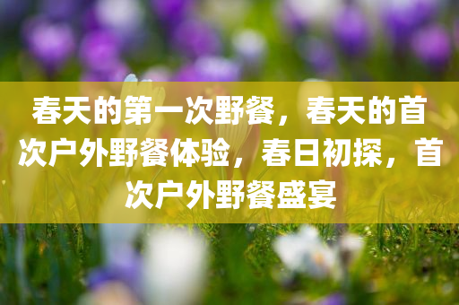 春天的第一次野餐，春天的首次户外野餐体验，春日初探，首次户外野餐盛宴