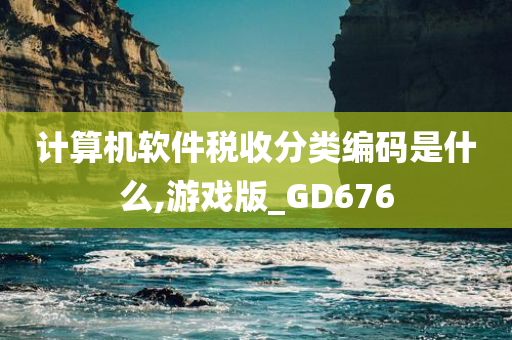 计算机软件税收分类编码是什么,游戏版_GD676