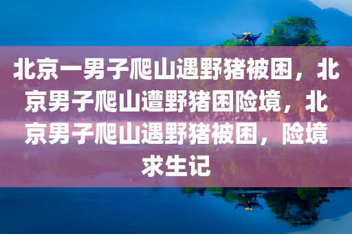 北京一男子爬山遇野猪被困，北京男子爬山遭野猪困险境，北京男子爬山遇野猪被困，险境求生记