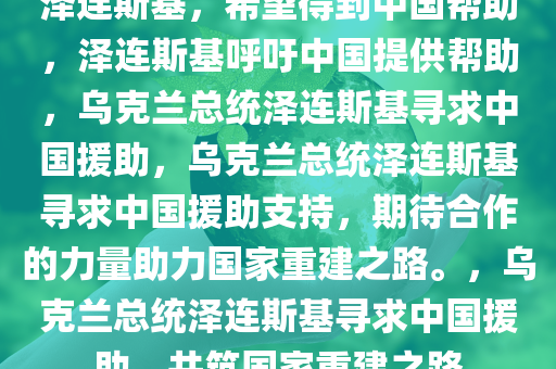 泽连斯基，希望得到中国帮助，泽连斯基呼吁中国提供帮助，乌克兰总统泽连斯基寻求中国援助，乌克兰总统泽连斯基寻求中国援助支持，期待合作的力量助力国家重建之路。，乌克兰总统泽连斯基寻求中国援助，共筑国家重建之路