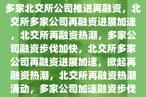 多家北交所公司推进再融资，北交所多家公司再融资进展加速，北交所再融资热潮，多家公司融资步伐加快，北交所多家公司再融资进展加速，掀起再融资热潮，北交所再融资热潮涌动，多家公司加速融资步伐