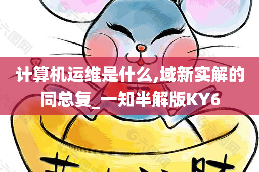 计算机运维是什么,域新实解的同总复_一知半解版KY6