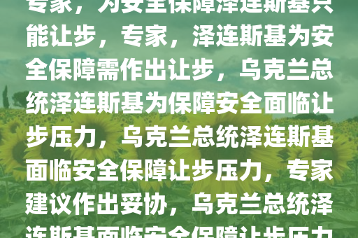 专家，为安全保障泽连斯基只能让步，专家，泽连斯基为安全保障需作出让步，乌克兰总统泽连斯基为保障安全面临让步压力，乌克兰总统泽连斯基面临安全保障让步压力，专家建议作出妥协，乌克兰总统泽连斯基面临安全保障让步压力