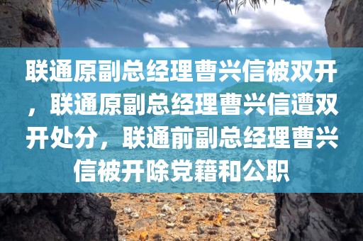 联通原副总经理曹兴信被双开，联通原副总经理曹兴信遭双开处分，联通前副总经理曹兴信被开除党籍和公职