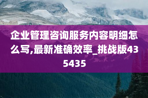 企业管理咨询服务内容明细怎么写,最新准确效率_挑战版435435