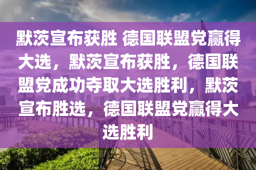 默茨宣布获胜 德国联盟党赢得大选，默茨宣布获胜，德国联盟党成功夺取大选胜利，默茨宣布胜选，德国联盟党赢得大选胜利