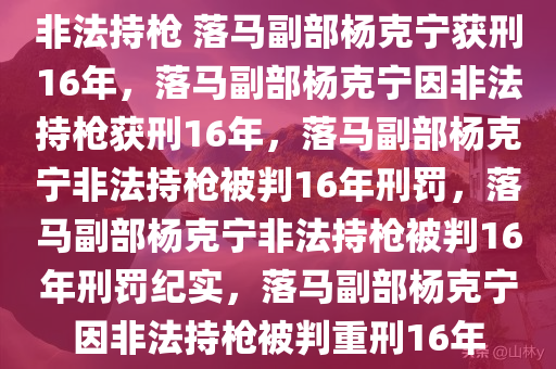 非法持枪 落马副部杨克宁获刑16年，落马副部杨克宁因非法持枪获刑16年，落马副部杨克宁非法持枪被判16年刑罚，落马副部杨克宁非法持枪被判16年刑罚纪实，落马副部杨克宁因非法持枪被判重刑16年