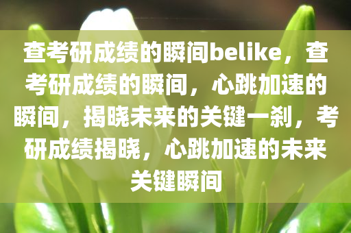 查考研成绩的瞬间belike，查考研成绩的瞬间，心跳加速的瞬间，揭晓未来的关键一刹，考研成绩揭晓，心跳加速的未来关键瞬间