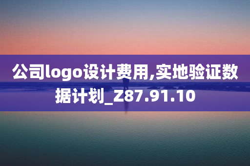 公司logo设计费用,实地验证数据计划_Z87.91.10