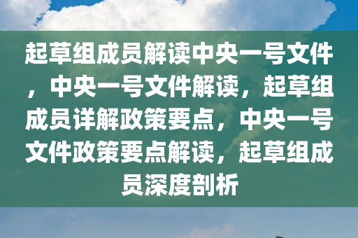 起草组成员解读中央一号文件，中央一号文件解读，起草组成员详解政策要点，中央一号文件政策要点解读，起草组成员深度剖析