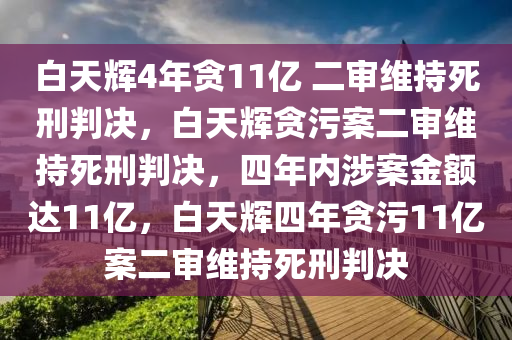 白天辉4年贪11亿 二审维持死刑判决，白天辉贪污案二审维持死刑判决，四年内涉案金额达11亿，白天辉四年贪污11亿案二审维持死刑判决