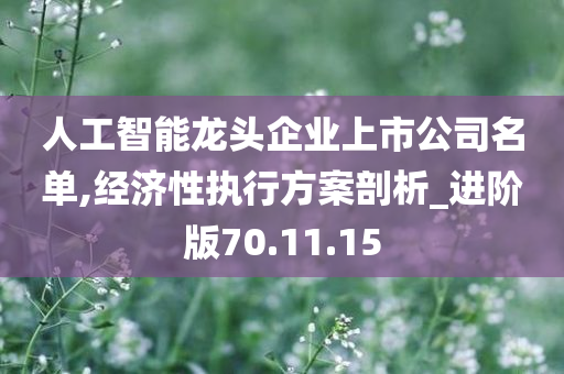 人工智能龙头企业上市公司名单,经济性执行方案剖析_进阶版70.11.15