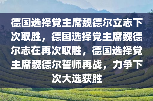 德国选择党主席魏德尔立志下次取胜，德国选择党主席魏德尔志在再次取胜，德国选择党主席魏德尔誓师再战，力争下次大选获胜