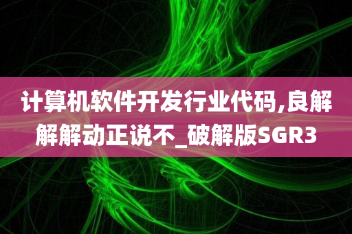 计算机软件开发行业代码,良解解解动正说不_破解版SGR3