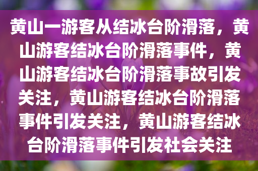 黄山一游客从结冰台阶滑落，黄山游客结冰台阶滑落事件，黄山游客结冰台阶滑落事故引发关注，黄山游客结冰台阶滑落事件引发关注，黄山游客结冰台阶滑落事件引发社会关注