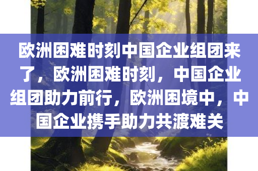 欧洲困难时刻中国企业组团来了，欧洲困难时刻，中国企业组团助力前行，欧洲困境中，中国企业携手助力共渡难关