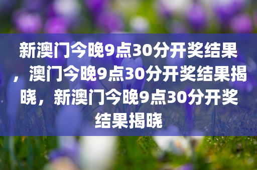 新澳门今晚9点30分开奖结果，澳门今晚9点30分开奖结果揭晓，新澳门今晚9点30分开奖结果揭晓