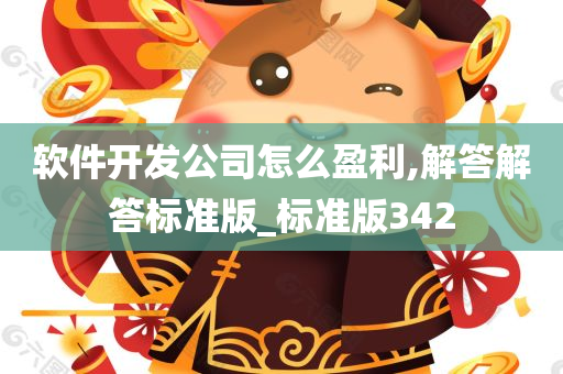 软件开发公司怎么盈利,解答解答标准版_标准版342