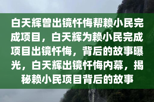 白天辉曾出镜忏悔帮赖小民完成项目，白天辉为赖小民完成项目出镜忏悔，背后的故事曝光，白天辉出镜忏悔内幕，揭秘赖小民项目背后的故事