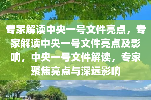 专家解读中央一号文件亮点，专家解读中央一号文件亮点及影响，中央一号文件解读，专家聚焦亮点与深远影响