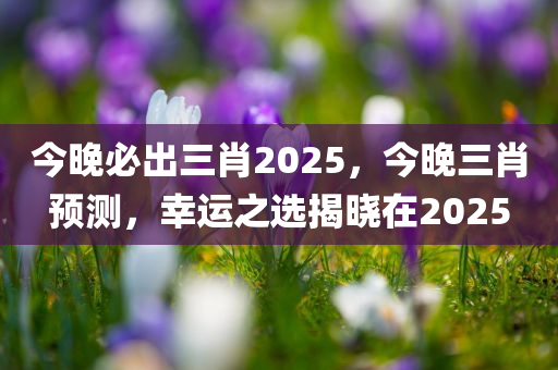 今晚必出三肖2025，今晚三肖预测，幸运之选揭晓在2025